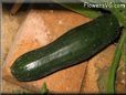 medium zucchini