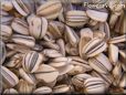 sunflower seeds
