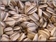 sunflower seeds