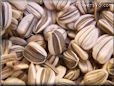 sunflower seeds