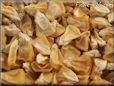 yellow corn seeds