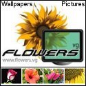 flower wallpapers and pictures