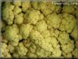 cauliflower