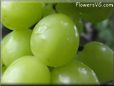  grapes