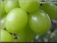  grapes